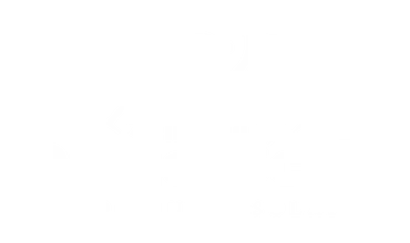 Dragon Scale Roofing & Solar Nashville Trusted Roofing Company